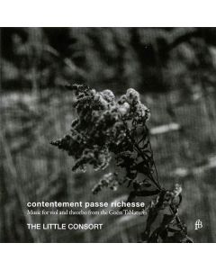 Contentement passe richesse - Music for Viola and Theorbo from the Goess Tablatures CD