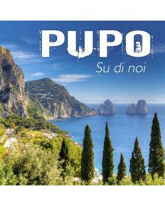 Pupo - Su Di Noi: I Successi Di Pupo CD