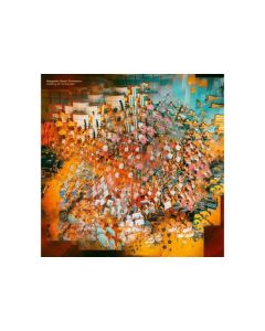 Magnetic Ghost Orchestra - Holding On To Wonder LP