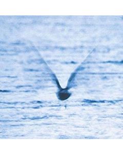 Ryo Fukui (1949-2016) - Mellow Dream CD