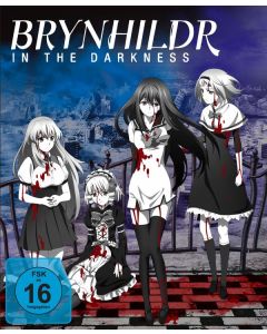 Brynhildr in the Darkness (Gesamtausgabe) (Blu-ray) BR