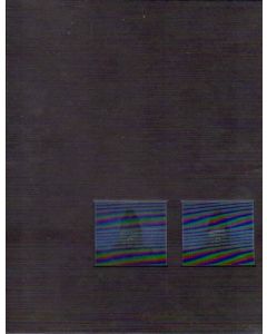 Jenny Holzer • Kriegszustand