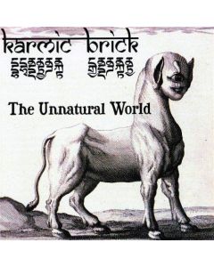 Karmic Brick • Unnatural World CD
