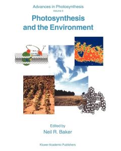 Photosynthesis and the Environment