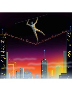 Rupert Hine - Unshy On The Skyline CD