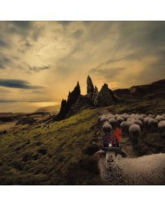 Franck Carducci - Sheeple CD