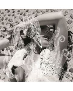 Björk - Vespertine LP