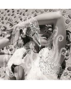 Björk - Vespertine CD