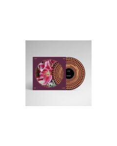 Richard Hawley - Coles Corner (20th Anniversary) (Limited Edition) (Zoetrope Picture Disc) LP