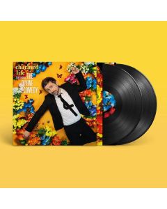 The Divine Comedy - Charmed Life: The Best Of The Divine Comedy (remastered) LP
