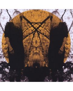 Austra - Feel It Break CD