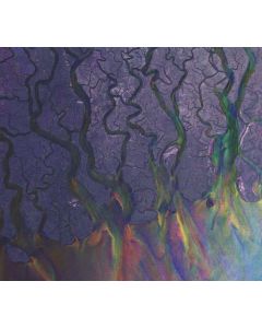 alt-J - An Awesome Wave CD