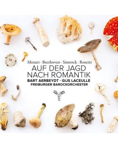 Auf der Jagd nach Romantik - Werke mit 2 Hörnern CD