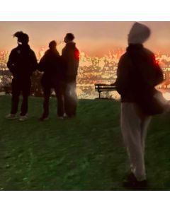 Fred Again... & Brian Eno - Secret Life LP