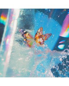 Daphni - Butterfly CD