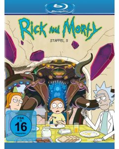 Rick and Morty Staffel 5 (Blu-ray) BR