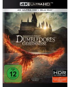 Phantastische Tierwesen: Dumbledores Geheimnisse (Ultra HD Blu-ray & Blu-ray) UHD