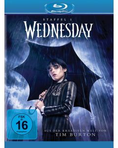 Wednesday Staffel 1 (Blu-ray) BR