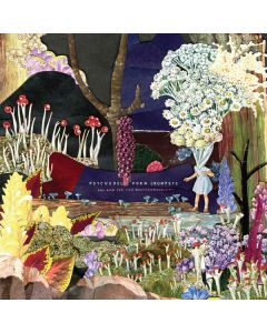 Psychedelic Porn Crumpets - And Now For The Whatchamacallit CD