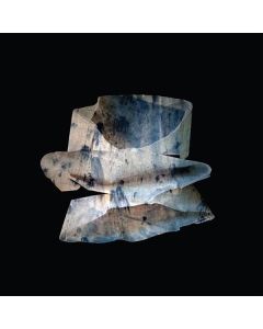 Ava Mendoza, Gabby Fluke-Mogul & Carolina Perez - Mama Killa CD