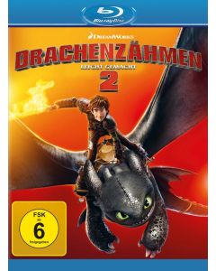 Drachenzähmen leicht gemacht 2 (Blu-ray) BR