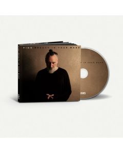 Fink        (UK) - Beauty In Your Wake CD