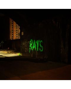 The Rats - Rule The World CD