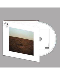 Fink        (UK) - The City Is Coming To Erase It All CD
