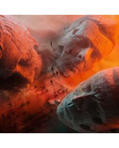 Muse - Will Of The People CD