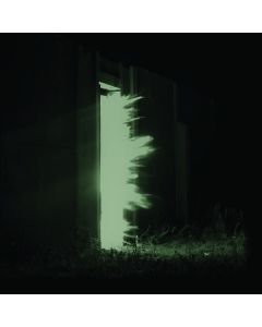 Fink        (UK) - Horizontalism CD
