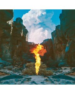 Bonobo (Simon Green) - Migration CD