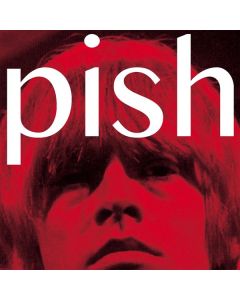 The Brian Jonestown Massacre - Mini Album Thingy Wingy CD