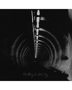 The Bug Featuring Dis Fig - In Blue CD