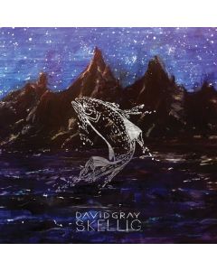David Gray - Skellig CD