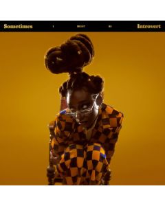 Little Simz - Sometimes I Might Be Introvert CD