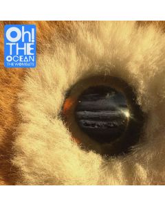 The Wombats - Oh! The Ocean CD