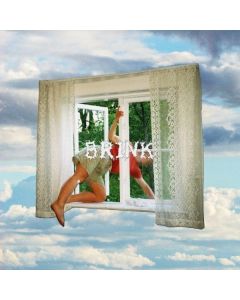 Girl Scout - Brink CD