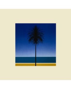 Metronomy - The English Riviera LP