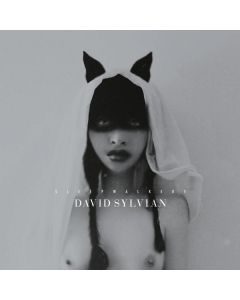 David Sylvian - Sleepwalkers (Limited Edition) CD