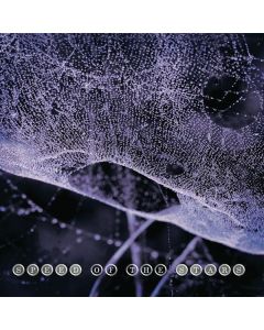 Speed Of The Stars - Speed Of The Stars CD