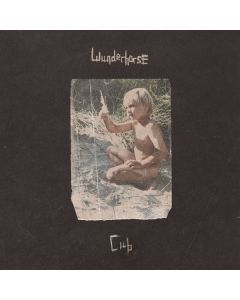 Wunderhorse - Cub LP