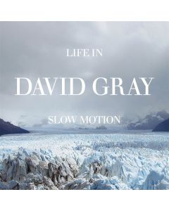 David Gray - Life In Slow Motion (20th Anniversary Edition) (Black Vinyl) LP