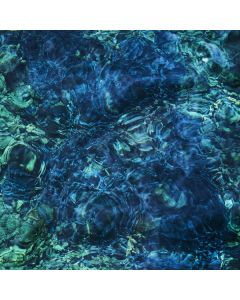 Ichiko Aoba - Luminescent Creatures CD