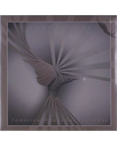 The Chameleons (Post-Punk UK) - Tomorrow Remember Yesterday MAX