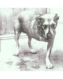 Alice In Chains - Alice In Chains CD