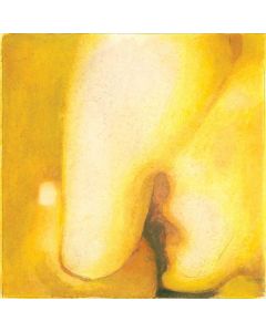 The Smashing Pumpkins - Pisces Iscariot (2012 remastered) (180g) LP