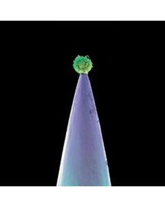 Peter Gabriel - New Blood CD