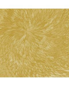 Pjev, Kit Downes & Hayden Chisholm - Medna Roso CD