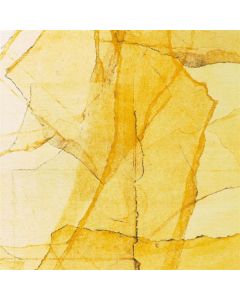 Wadada Leo Smith & Amina Claudine Myers - Central Park's Mosaics Of Reservoir, Lake, Pathways And Gardens CD