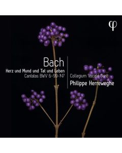 Johann Sebastian Bach (1685-1750) - Kantaten BWV 6,99,147 CD